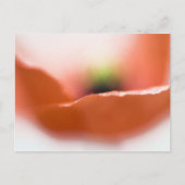 Delicate Poppy Briefkaart (Voorkant)