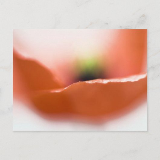 Delicate Poppy Briefkaart (Voorkant)