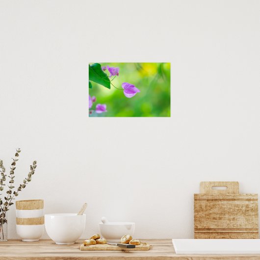 Delicate Purple Bougainvillea Poster (Keuken)
