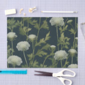 Delicate Queen Anne's Lace Patroon Tissuepapier (Craft)