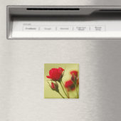 Delicate Red Rose Magneet (Insitu (Vaatwasser))