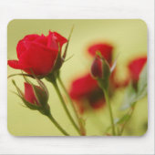 Delicate Red Rose Muismat (Voorkant)