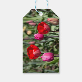Delicate rode en paarse tulpen cadeaulabel