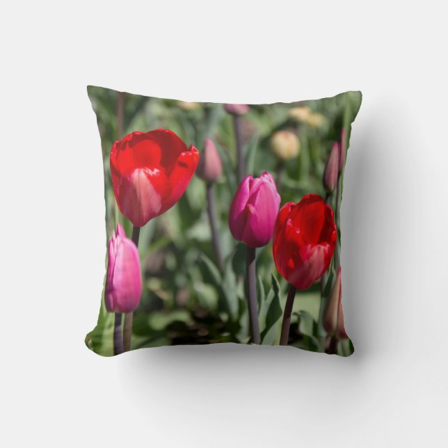 Delicate rode en paarse tulpen poster kussen (Voorkant)