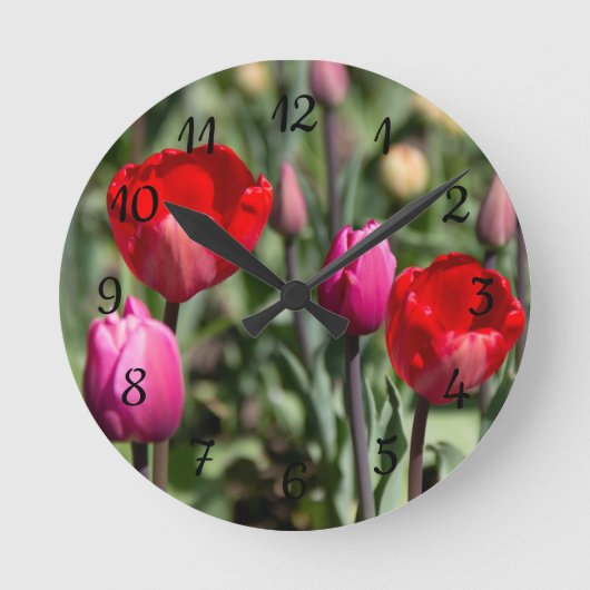 Delicate rode en paarse tulpen ronde klok (Voorkant)