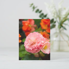 Delicate roze bloem na de regen  briefkaart