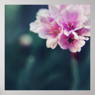 Delicate roze bloemen Macro Abstract Poster