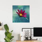 Delicate Roze Cosmos Flower Macro Abstract op blau Poster (Thuiskantoor)