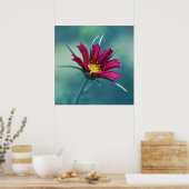Delicate Roze Cosmos Flower Macro Abstract op blau Poster (Keuken)