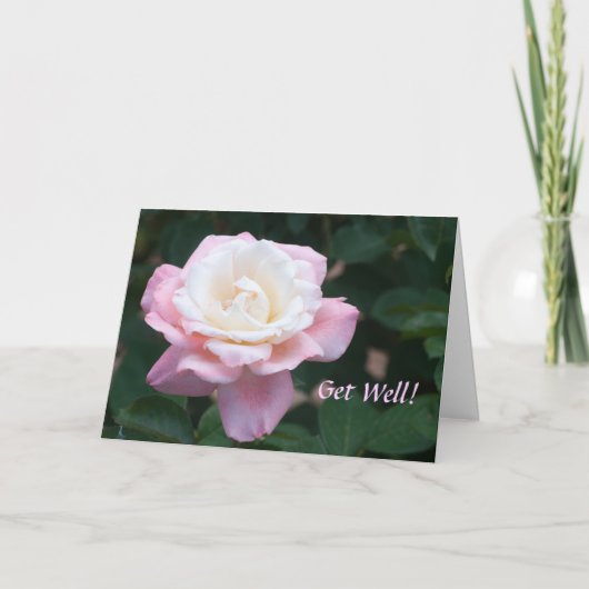 Delicate Roze en Witte Rose Get Well Kaart (Voorkant)
