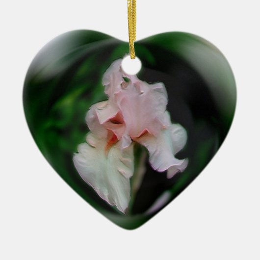 Delicate roze Iris Flower Art-Ornament Keramisch Ornament (Voorkant)