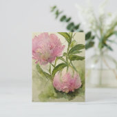 Delicate roze peonIes Briefkaart (Staand voorkant)
