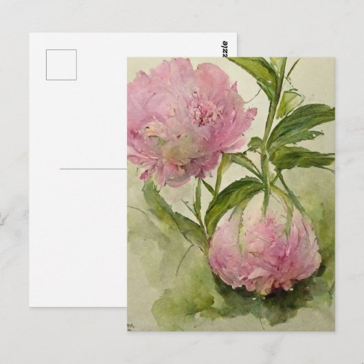 Delicate roze peonIes Briefkaart (Voorkant / Achterkant)