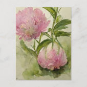 Delicate roze peonIes Briefkaart (Voorkant)