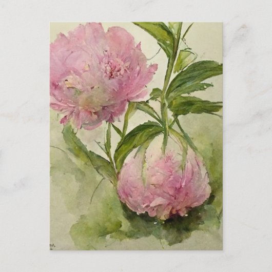 Delicate roze peonIes Briefkaart (Voorkant)