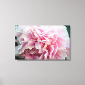 Delicate Roze Pioen Bloemen Verpakte Canvas Print (Voorkant)