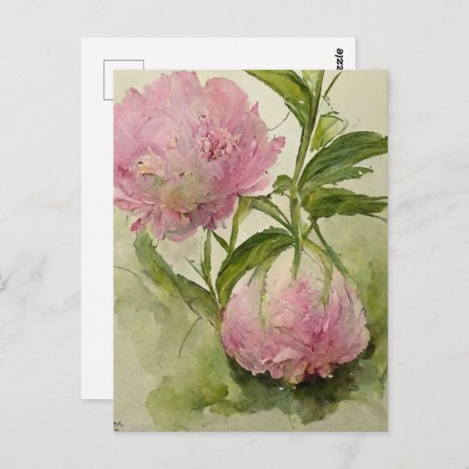 Delicate roze pioenrozen briefkaart (Voorkant / Achterkant)