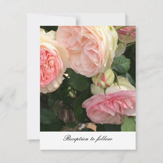 Delicate roze Rose Wedding Invitation Kaart (Achterkant)