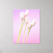 Delicate Roze Tulpen Uitgerekt Canvas Print (Voorkant)