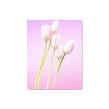 Delicate Roze Tulpen Uitgerekt Canvas Print