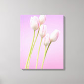 Delicate Roze Tulpen Uitgerekt Canvas Print (Voorkant)