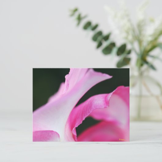 Delicate roze ventilatorbenzine Kunstwerk Briefkaart (Staand voorkant)