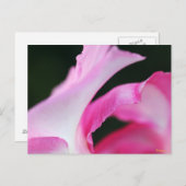 Delicate roze ventilatorbenzine Kunstwerk Briefkaart (Voorkant / Achterkant)