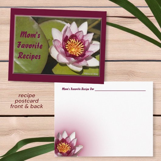 Delicate roze water Lily Bloem Foto Recipe Briefkaart