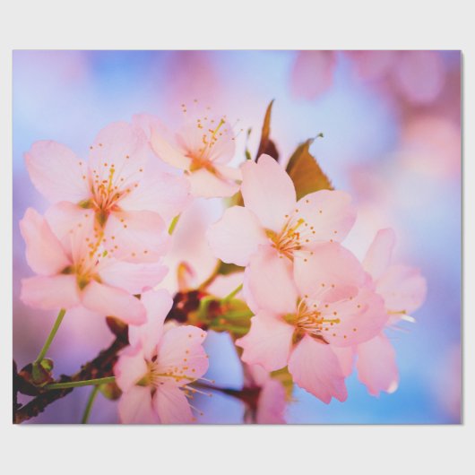 Delicate Sakura Flowers Cadeaupapier (Vlak)