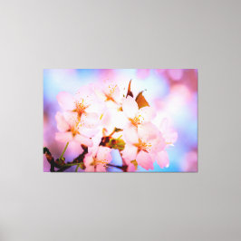 Delicate Sakura Flowers Canvas Afdruk
