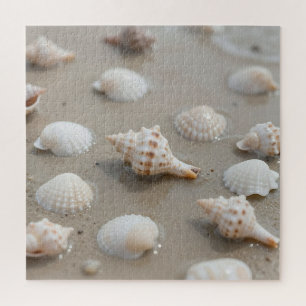 Delicate Schelpen Strand Sereniteit Legpuzzel