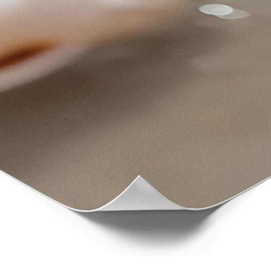 Delicate Schelpen Strand Sereniteit Poster (Hoek)