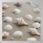 Delicate Schelpen Strand Sereniteit Poster (Voorkant)