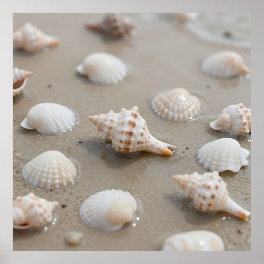 Delicate Seashells Beach Serenity Poster (Voorkant)