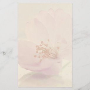 Delicate Soft roze Cherry Blossom Flower Briefpapier
