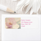 Delicate Soft roze Cherry Blossom Flower Etiket (Insitu)