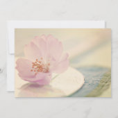 Delicate Soft roze Cherry Blossom Flower Kaart (Achterkant)