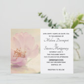 Delicate Soft roze Cherry Blossom Flower Kaart (Staand voorkant)