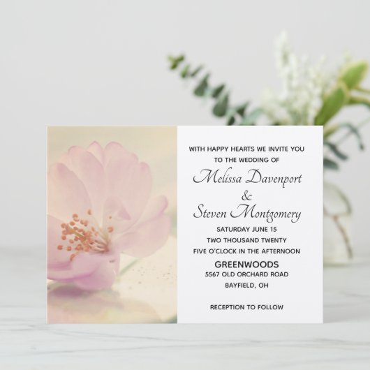 Delicate Soft roze Cherry Blossom Flower Kaart (Staand voorkant)