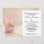 Delicate Soft roze Cherry Blossom Flower Kaart (Voorkant / Achterkant)