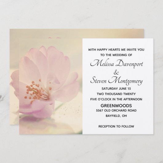 Delicate Soft roze Cherry Blossom Flower Kaart (Voorkant / Achterkant)