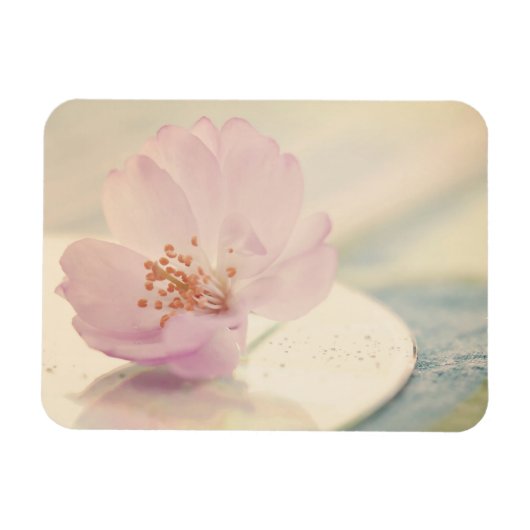 Delicate Soft roze Cherry Blossom Flower Magneet (Horizontaal)
