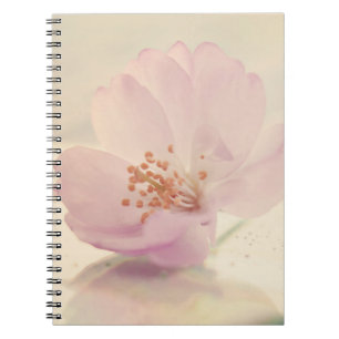 Delicate Soft roze Cherry Blossom Flower Notitieboek