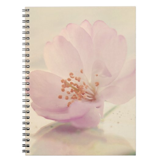 Delicate Soft roze Cherry Blossom Flower Notitieboek (Voorkant)