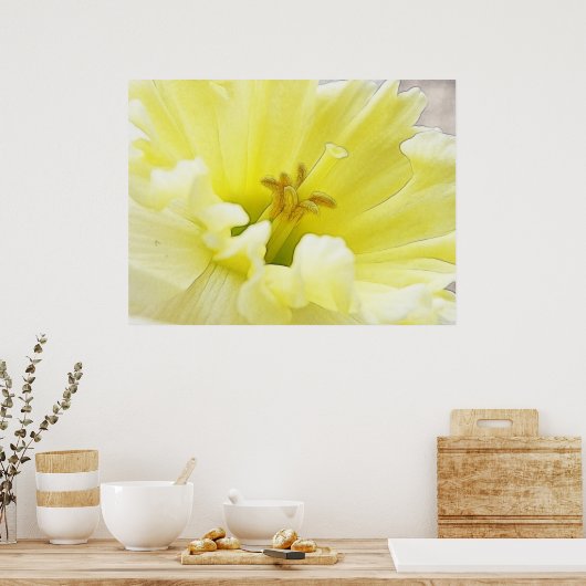 Delicate Spring Daffodil Poster (Keuken)