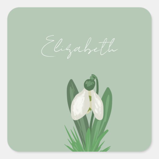 Delicate Spring Snowdrop Flower Vierkante Sticker (Voorkant)