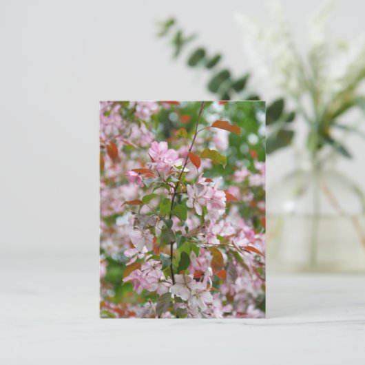 Delicate tak met bloemen appelboom briefkaart (Staand voorkant)