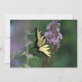 Delicate touch van een vlinder - plat Wenskaart Kaart