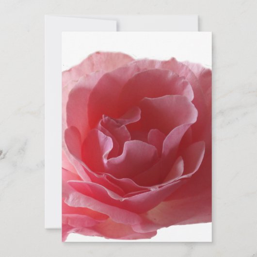 Delicate & Unique Wedding Invitation Kaart Roos (Achterkant)