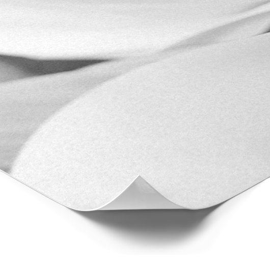 Delicate Vellum Transparency Black White Initials Poster (Hoek)